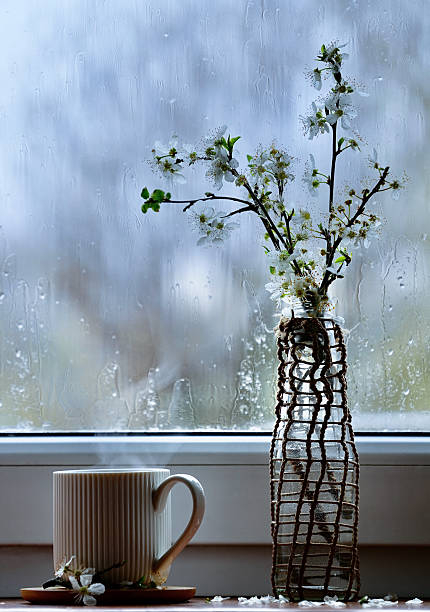 Branch of cherry blossoms in glass vase and cup with hot drink on window in rainy spring day.