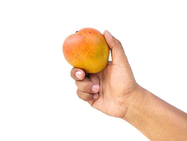 istock Man hand holding a fresh red mango isolated on white background 2246940890