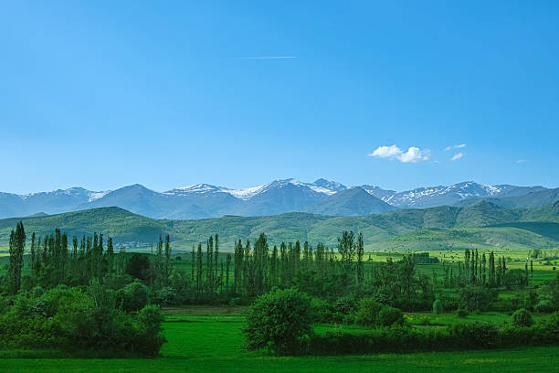 istock Beautiful landscape with green fields, tall trees, and distant snow-capped mountains under blue sky. 2246943352