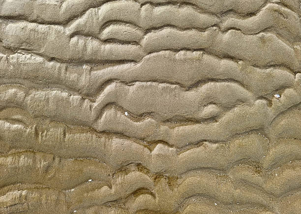 istock The perspective of sand beach texture and background. 2246945827