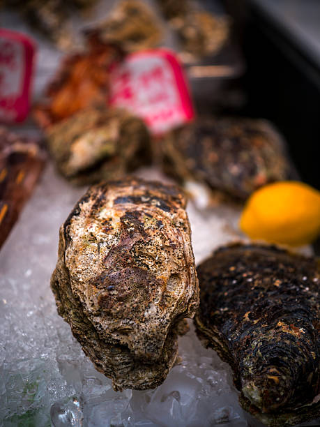 Fresh Oysters on Crushed Ice with Lemon