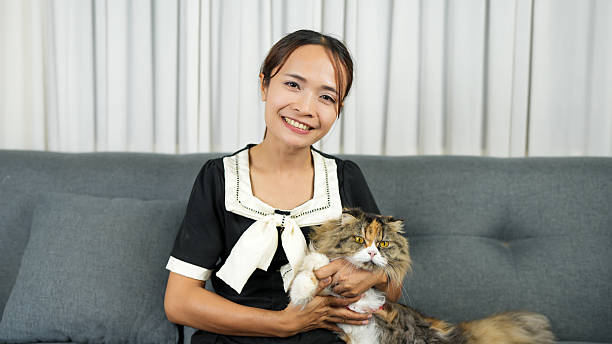 istock Woman smiles while holding fluffy cat on gray sofa. cozy setting features soft lighting and neutral background, creating warm atmosphere 2246951599