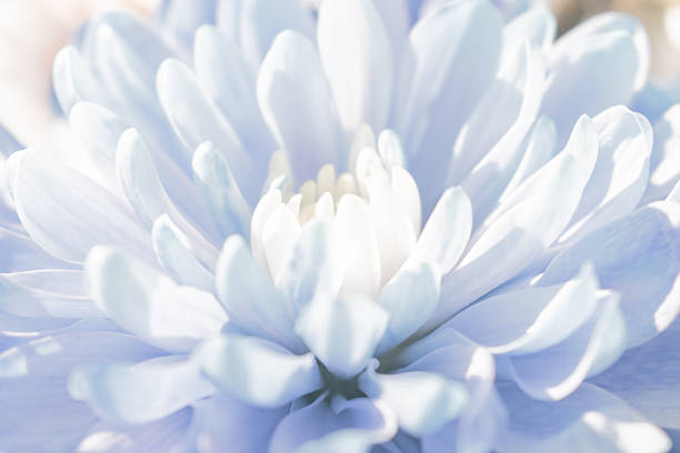 istock Smoothly blended pastel abstract: a light, flowing floral background with soft color transitions 2246955334