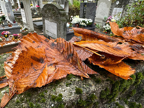 Fallen leaves on a tombstone in the public cemetery