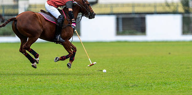 A rider in maroon swings a mallet on a galloping bay horse, frozen mid-action above a bright green polo field with a blurred background.