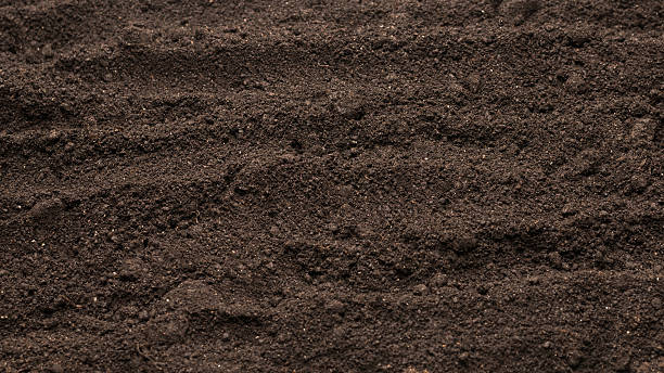 istock Black land for plant background. Top view. 2246962439
