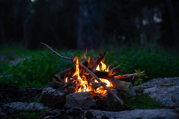 istock Bonfire at late evening in the forest 2246964136