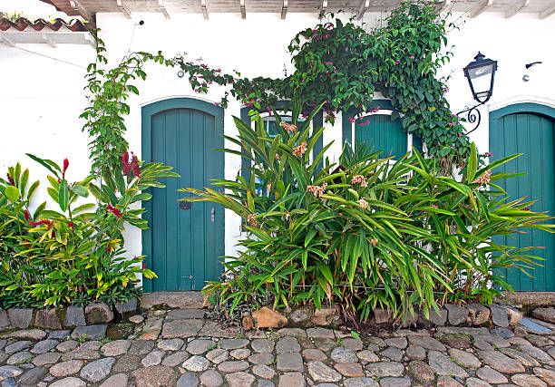 Creeper-clad example of Portuguese colonial architecture, Paraty, Brazil