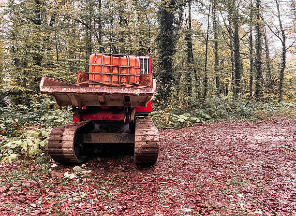 A red tracked vehicle parked on a forest path covered with fallen leaves. Surrounding trees display autumn foliage, copy space