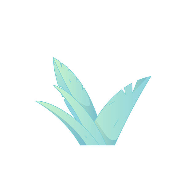 istock Indoor Potted Plant Vector Flat Gradient Illustration Light Healing Minimalist Nordic Home Aesthetic Asset 2246967528