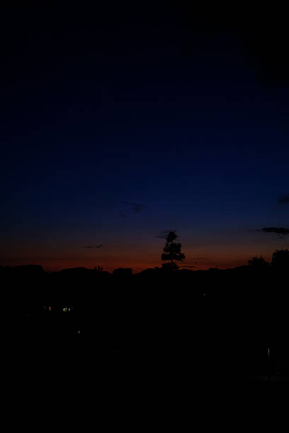 Dark night sky at dusk with deep blue and orange sunset glow over a silhouetted landscape, distant tree line and a prominent conifer tuft against a tranquil twilight horizon