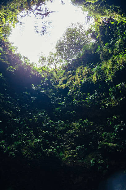 istock Algar do Carvao Cave 2246969449