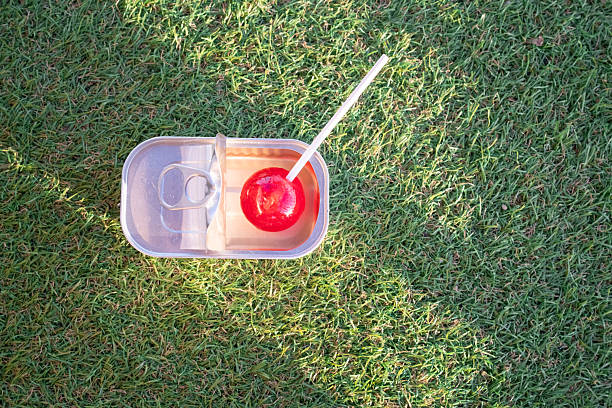 Red lollipop creatively placed inside a metal sardine can, symbolizing unexpected combinations, pop art, or environmental commentary on waste, resting on vibrant green grass under sunlight
