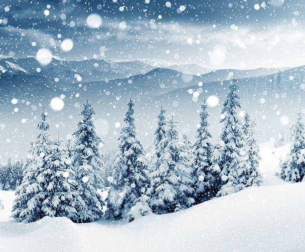 istock Trees covered with hoarfrost and snow in mountains. 2246976594