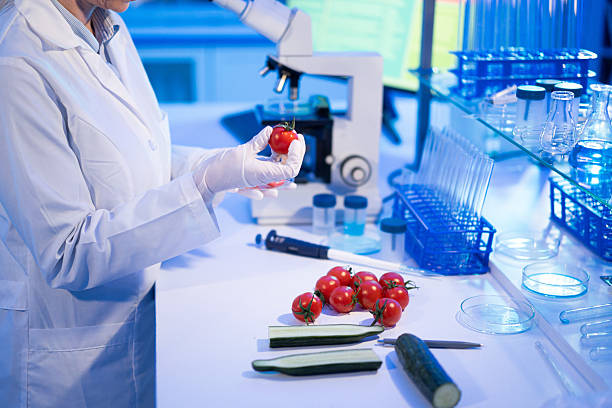 istock Scientist examining fresh tomato quality in food lab 2246976616