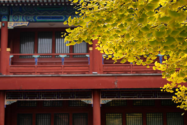 The image depicts a traditional Chinese architectural structure,  Overhanging branches with vibrant yellow autumn leaves add a seasonal touch, creating a harmonious blend of historical heritage and natural beauty.