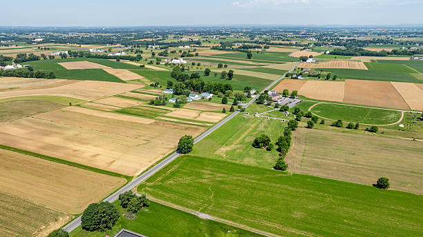 A vast rural landscape displays fields of different crops, scattered homes, and winding roads. The scene is serene, showcasing the beauty of farmland under clear skies on a sunny afternoon.