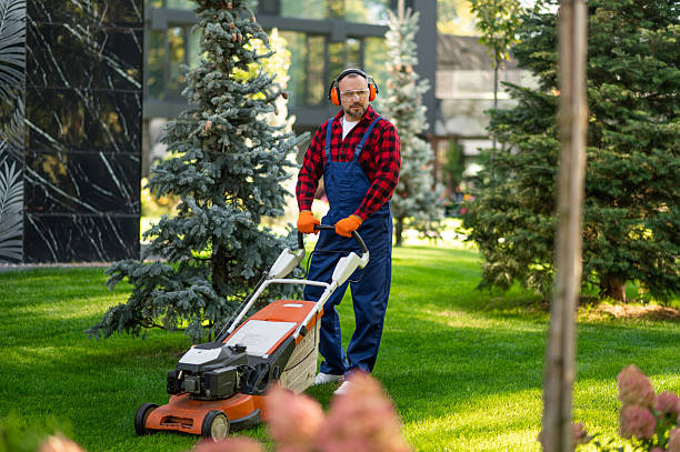 istock Worker in uniform standing on lawn during grass maintenance 2246990247
