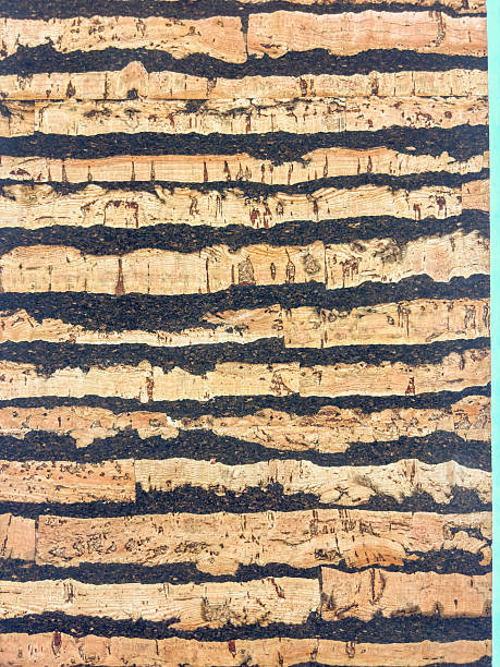 istock Natural Cork Panel with Dark Striped Texture – Close Detail 2246991490