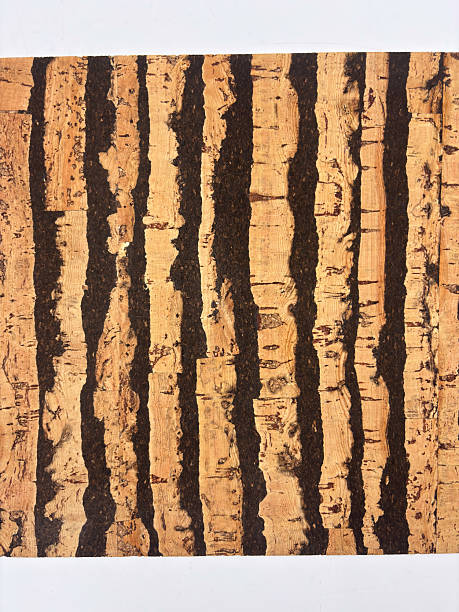 istock Natural Cork Striped Texture – Vertical Dark Bands 2246991491