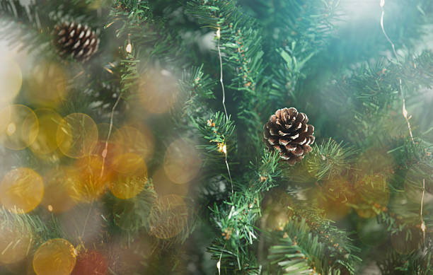 istock Christmas tree branches with pine cone and warm glowing bokeh lights creating a festive holiday atmosphere suitable for seasonal decoration themes cozy winter celebration xmas background 2246991530