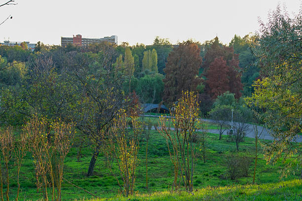 Autumn landscape