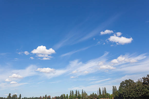 clouds, sky, clear, summer, spring, limpid, blue, light, white, cumulus, earth, agricultural land, countryside, trees