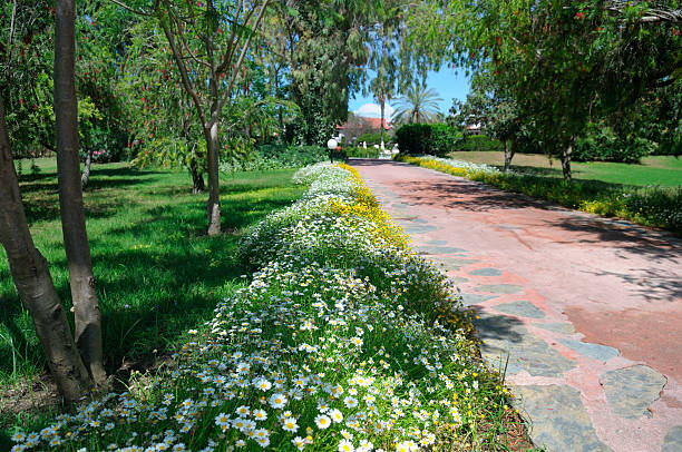 A red flagstone path, bordered by lush green lawns and a dense bank of white and yellow daisy-like flowers, recedes into a sunny tropical park setting with palm trees. This tranquil scene conveys concepts of nature, relaxation, travel, and beautiful garden design.