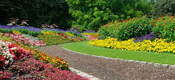 istock Winding Path Through a Lush, Vibrant Summer Flower Bed Garden 2247001919