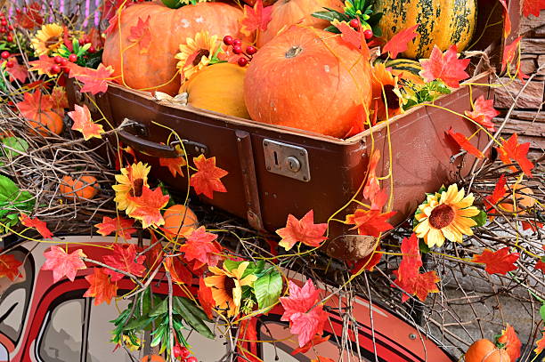 Pumpkins grow straw Halloween October