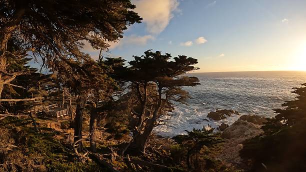 istock The peaceful landscape of Pebble Beach. 2247010334