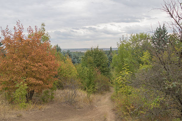 istock Autumn forest trail with colorful trees - natural landscape view 2247011315