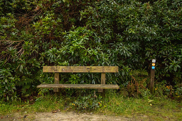 A wooden park bench in the meadow, Germany