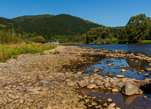 Natural rocky river shore with shallow pools and flowing clear water. Wild grasses, stones, and distant forested hills create an earthy, organic mood perfect for nature, ecology, or outdoor adventure themes.