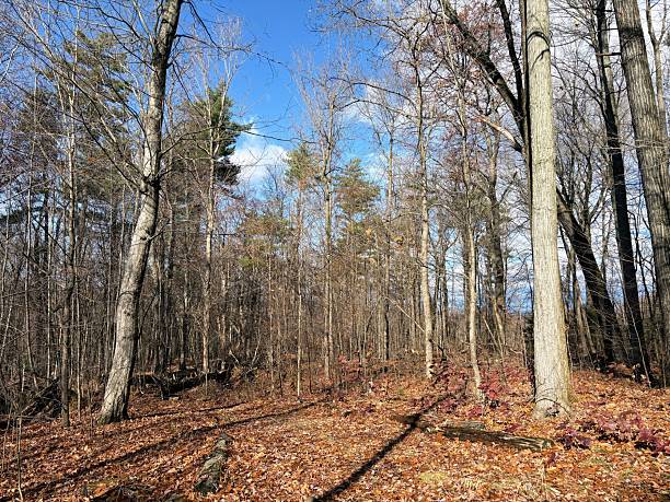 istock Skinner State Park in Hadley, Massachusetts 2247024094