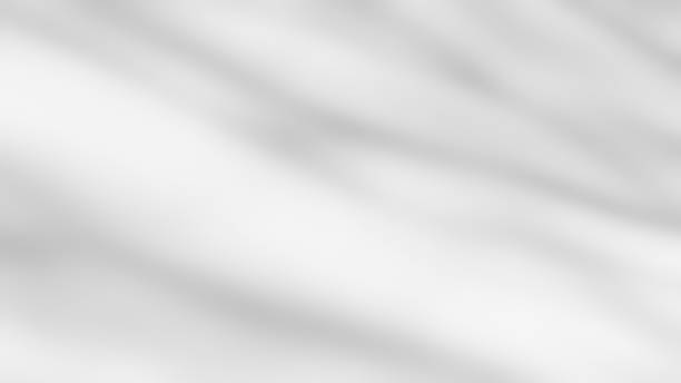 istock Shadow of leaves tree plant overlay on white wall. 2247024462