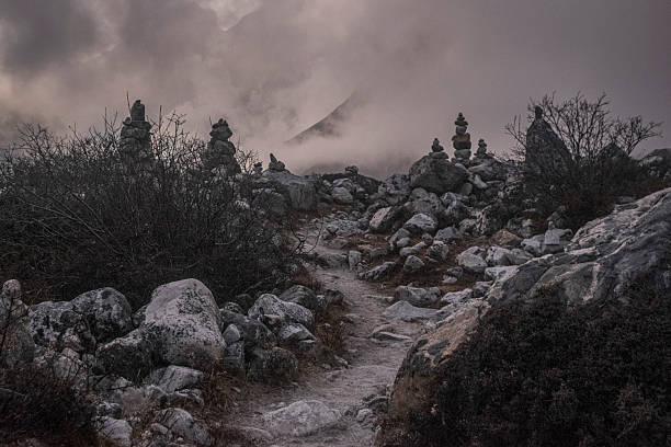 ...Like silent watchers helping to navigate in the falling dusk
