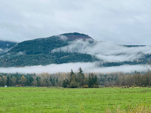 Everson, Washington