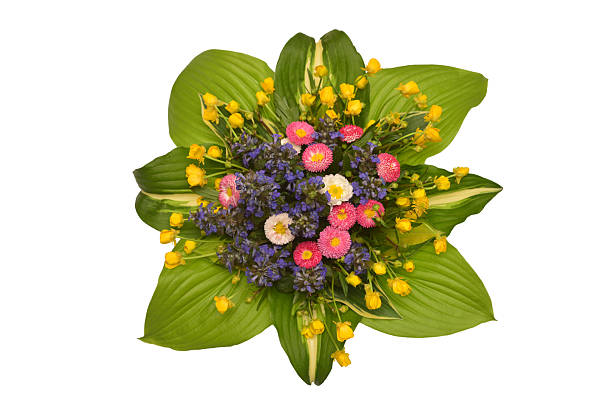 This image features a stunning assortment of vibrant flowers in rich colors, artistically arranged against a bright blue backdrop, perfect for celebrating nature's beauty and grace.