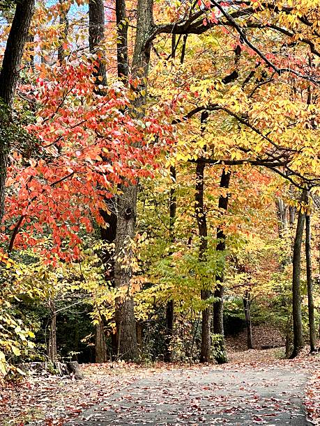 istock Colors of nature 2247036528