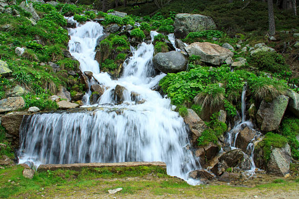 A beautiful summer landscape with a mountain, a waterfall, and a river. Altai, Russia.