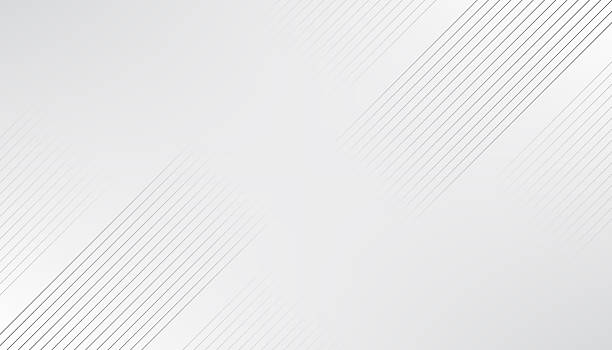 Abstract white background with gray faded straight line and copy space, Vector illustration