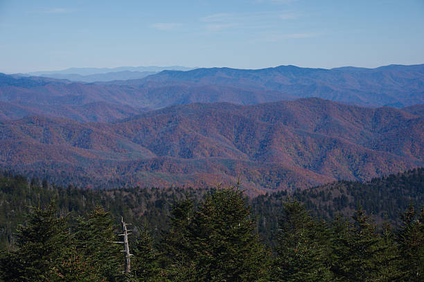 istock Autumn Mountain Panorama With Forested Hills, Distant Horizon, And Deep Blue Sky from Kuwohi Clingmans Dome. 2247048274
