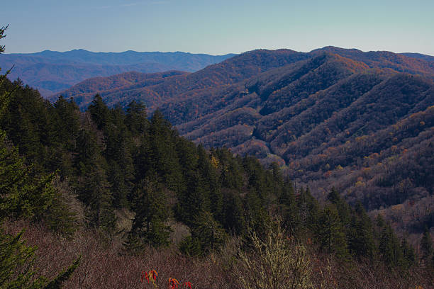 istock Autumn Mountain Landscape: Rolling Hills, Forests, And Clear Blue Sky Over Valleys 2247049421