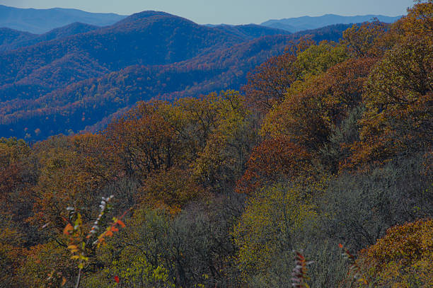 istock Autumn Mountain Landscape: Rolling Hills, Forests, And Clear Blue Sky Over Valleys 2247049506