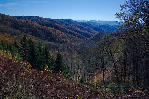 istock Autumn Mountain Landscape: Rolling Hills, Forests, And Clear Blue Sky Over Valleys 2247049523