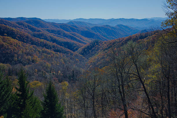 istock Autumn Mountain Landscape: Rolling Hills, Forests, And Clear Blue Sky Over Valleys 2247049529