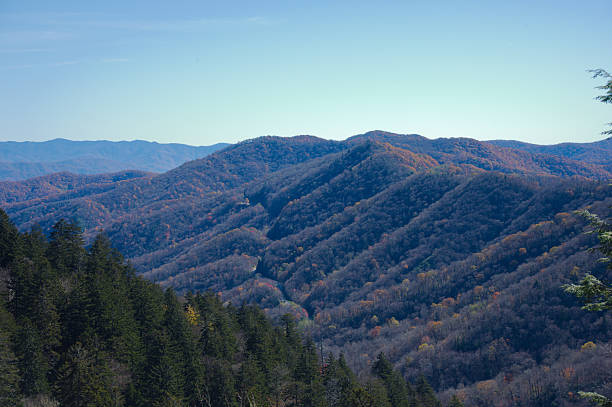 istock Autumn Mountain Landscape: Rolling Hills, Forests, And Clear Blue Sky Over Valleys 2247049538