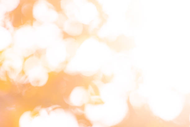 Dreamy autumn foliage bokeh background.