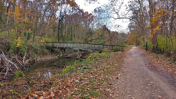 istock Chesapeake & Ohio Trail - Autumn Leaves #4 2247053154